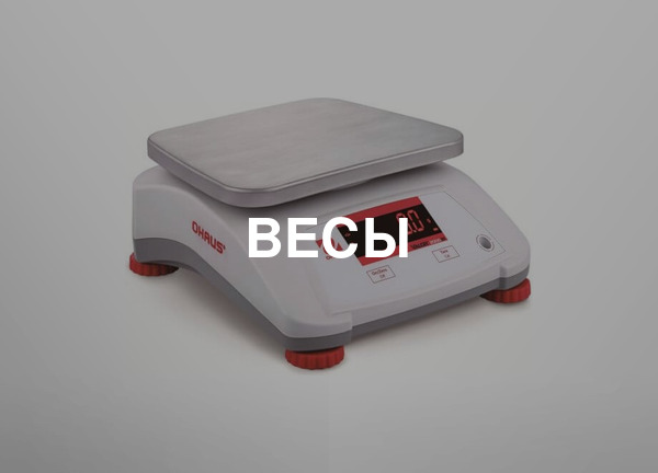 Весы